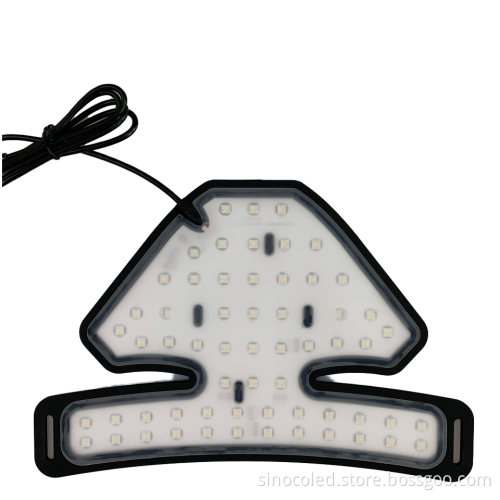 Multi-Spectral LED Red Light Therapy for Skin Care and Pain Relief